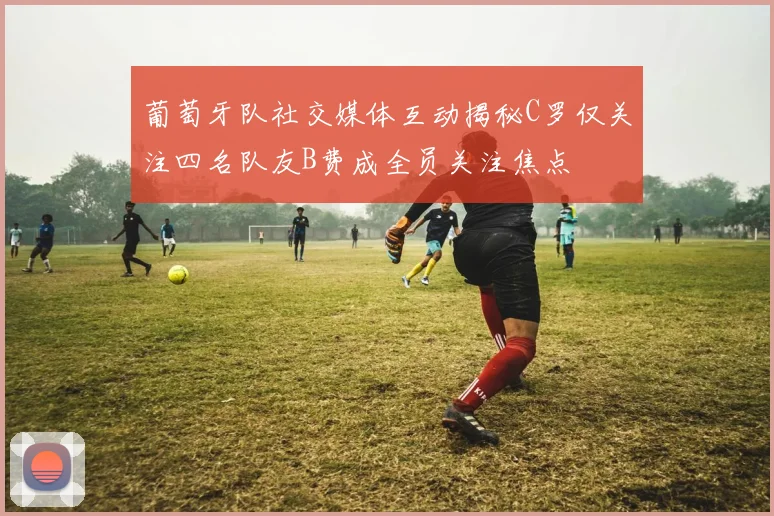葡萄牙队社交媒体互动揭秘C罗仅关注四名队友B费成全员关注焦点